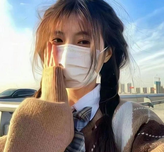 最后的飞行